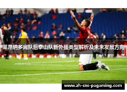 莱昂纳多离队后泰山队新外援类型解析及未来发展方向