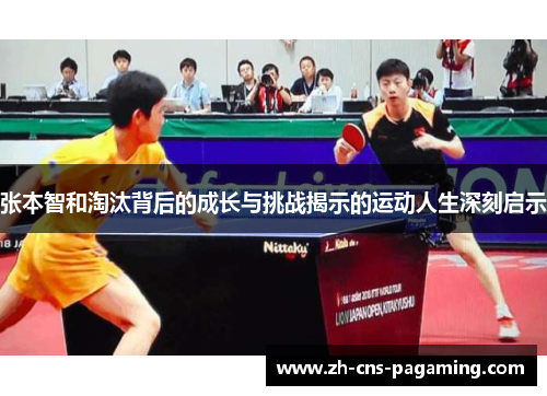张本智和淘汰背后的成长与挑战揭示的运动人生深刻启示
