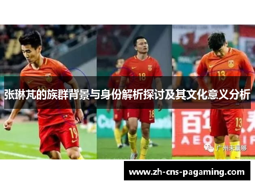 张琳芃的族群背景与身份解析探讨及其文化意义分析