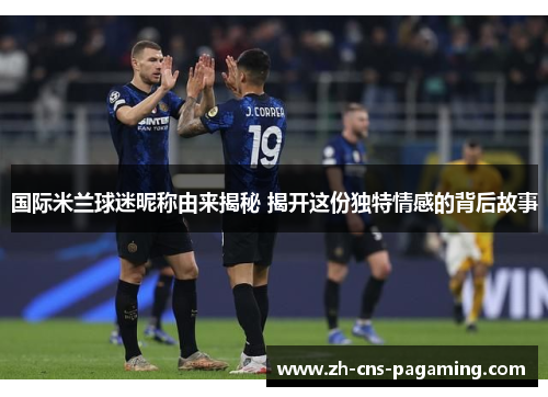 国际米兰球迷昵称由来揭秘 揭开这份独特情感的背后故事