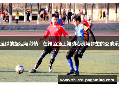 足球的旋律与激情：在绿茵场上舞动心灵与梦想的交响乐