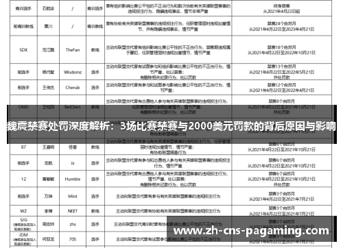 魏震禁赛处罚深度解析：3场比赛禁赛与2000美元罚款的背后原因与影响