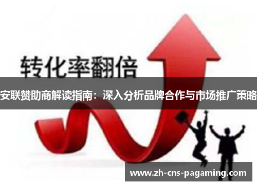 安联赞助商解读指南：深入分析品牌合作与市场推广策略