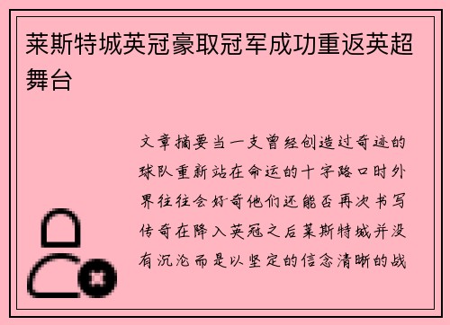 莱斯特城英冠豪取冠军成功重返英超舞台